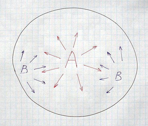 Picture of: Star Body Plan AB2