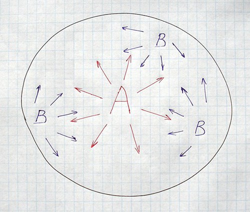 Picture of: Star Body Plan AB3