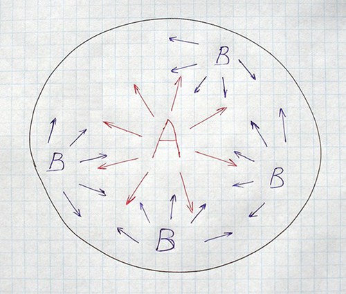 Picture of: Star Body Plan AB4