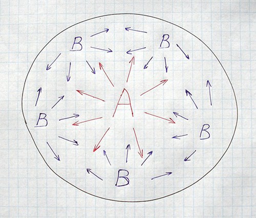 Picture of: Star Body Plan AB5