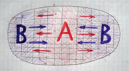 Picture of: Symmetric Differentiations